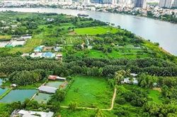 TP Hồ Chí Minh thành lập Ban Bồi thường, giải phóng mặt bằng