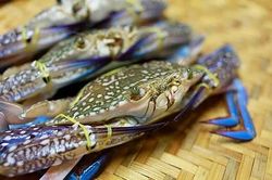 Tín hiệu trái chiều với ghẹ và tôm tại thị trường Mỹ