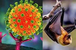 Anh đầu tư hàng chục triệu USD vào Đông Nam Á để phòng chống đại dịch mới