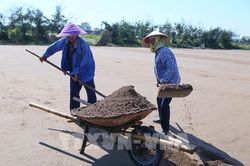 Diêm dân Ninh Bình được mùa muối