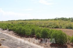 Gia Lai chuyển hơn 207 ha rừng phục vụ du lịch và thủy lợi