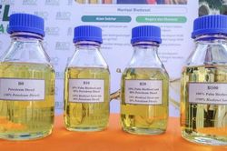 Malaysia bán nhiên liệu sinh học B15 cho ô tô
