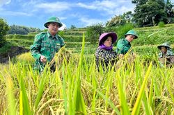 Lào Cai: Nhân rộng mô hình hỗ trợ phụ nữ khó khăn ở biên giới