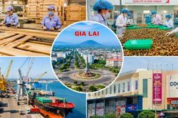 Gia Lai: Sản xuất c&ocirc;ng nghiệp, xuất khẩu v&agrave; b&aacute;n lẻ đồng loạt tăng