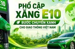 Chuyên gia: Xăng E10 - Người tiêu dùng cần hiểu đúng để dùng đúng