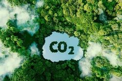 Thị trường carbon toàn cầu bước vào cuộc đua chất lượng tín chỉ