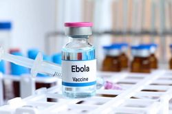 Quốc tế tăng tốc phát triển vaccine Ebola với gói tài trợ 60 triệu USD