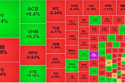 Sắc đỏ áp đảo, VN-Index 'lịm dần' xuống 1800 điểm