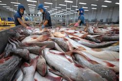VietAgros 2026: Thúc đẩy chuyển đổi xanh và số hóa ngành thủy sản