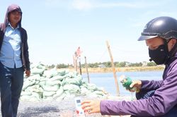Nỗ lực chống nhiễm mặn để bơm nước đổ ải