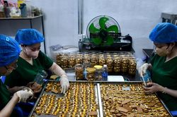 Phụ nữ chung sức phát triển nông sản sạch