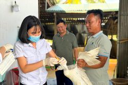 Khẩn trương khống chế dịch cúm gia cầm A/H5N1