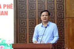 Đẩy nhanh tiến độ trồng cà phê, mắc ca đúng thời vụ