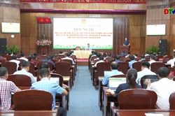 Hội nghị đánh giá tiến độ trồng mới cây cà phê, mắc ca