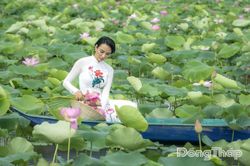 Sen trong đời sống văn hóa của người Đồng Tháp