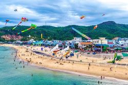 Sôi động đua thuyền rồng, rực rỡ diều nghệ thuật