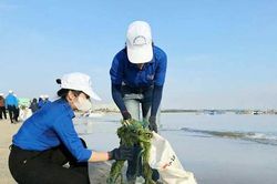 Người dân Gia Lai chung tay gìn giữ màu xanh biển đảo
