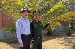 Dừa Gia Lai vươn mình giữa Trường Sa