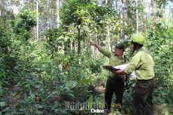 Bảo tồn đa dạng sinh học ở Hòn Bà