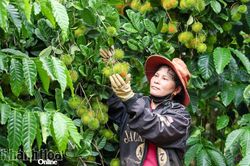 UBND tỉnh Khánh Hòa phê duyệt đề cương lập Đề án xây dựng nông thôn mới