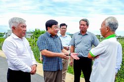 Phó Chủ tịch UBND tỉnh Trịnh Minh Hoàng kiểm tra công tác giải phóng mặt bằng các dự án điện hạt nhân