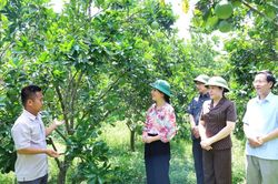 Lãnh đạo tỉnh khảo sát tại xã Thống Nhất