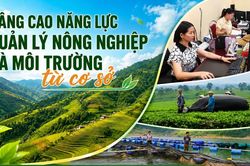 Nâng cao năng lực quản lý nông nghiệp và môi trường từ cơ sở