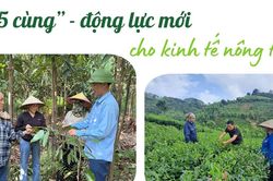 '5 cùng' - động lực mới cho kinh tế nông thôn