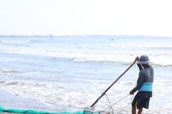 Nghề 'đi thụt lùi' trên bãi biển