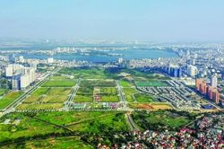 Đất dính quy hoạch: Khi nào được phép mua bán và chuyển nhượng?