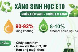 Xăng E10: Nhiên liệu sạch - tương lai xanh