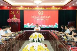 Quyết liệt triển khai giải pháp đấu tranh, ngăn chặn, xử lý hành vi xâm phạm quyền sở hữu trí tuệ