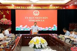 Tháo gỡ vướng mắc về đơn giá bồi thường, hỗ trợ về đất trên địa bàn tỉnh