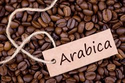 Giá cà phê hôm nay 2/6: Giá Arabica giảm tuần thứ 5 liên tiếp