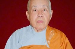 Lâm Đồng: Ni trưởng Thích nữ Minh Đức - Chứng minh Phân ban Ni giới tỉnh viên tịch