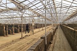 Đắk Lắk: Đẩy nhanh lộ trình chấm dứt lò gạch thủ công, đảm bảo sinh kế cho người lao động