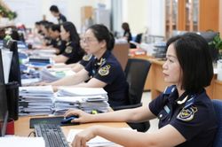 Hải quan hướng dẫn thực thi ngay thủ tục mới theo Nghị quyết số 19/2026/NQ-CP, đưa các chủ trương cải cách vào thực tiễn