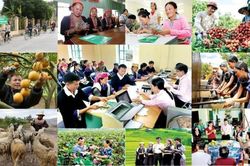 Gỡ điểm nghẽn nguồn vốn, tạo đà cho các chương trình mục tiêu quốc gia