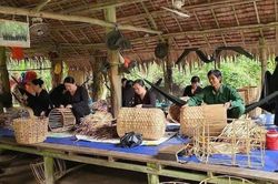 Đồng Tháp: Giữa rừng tràm Xẻo Quýt – Nơi thiên nhiên kỳ vĩ lưu giữ miền ký ức cách mạng