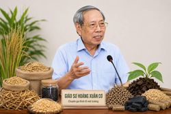 Tái chế phụ phẩm nông nghiệp: Dư địa lớn cho tăng trưởng xanh