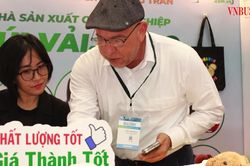 Đơn hàng xuất khẩu phân hóa mạnh, doanh nghiệp Việt phải chọn lại vị thế