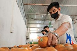 Sở hữu trí tuệ thành động lực phát triển bền vững của HTX