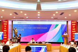 Luật ban hành kỷ lục, vì sao doanh nghiệp vẫn 'kêu'?