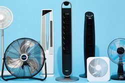 Chọn quạt nào cho phòng khách, phòng ngủ để mát lại tiết kiệm điện?