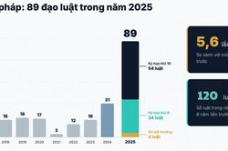 Kỷ lục 89 đạo luật: Bước ngoặt thể chế cho môi trường kinh doanh