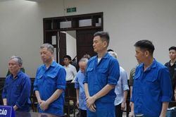 Cựu Chủ tịch và cựu Tổng Giám đốc Tổng Công ty Xi măng cùng được giảm án