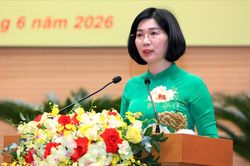 Chuyển h&oacute;a cơ chế đặc th&ugrave; th&agrave;nh c&ocirc;ng cụ ph&aacute;p l&yacute;