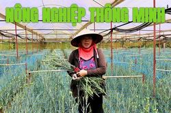 Kinh tế nông nghiệp thông minh - sức mạnh đối đầu với biến đổi khí hậu