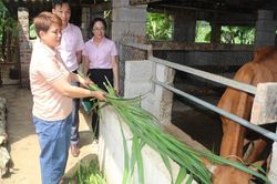 Dư nợ tín dụng chính sách tại Hà Quảng tăng hơn 23,6 tỷ đồng
