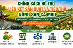 Chính sách hỗ trợ liên kết sản xuất và tiêu thụ nông sản Cà Mau